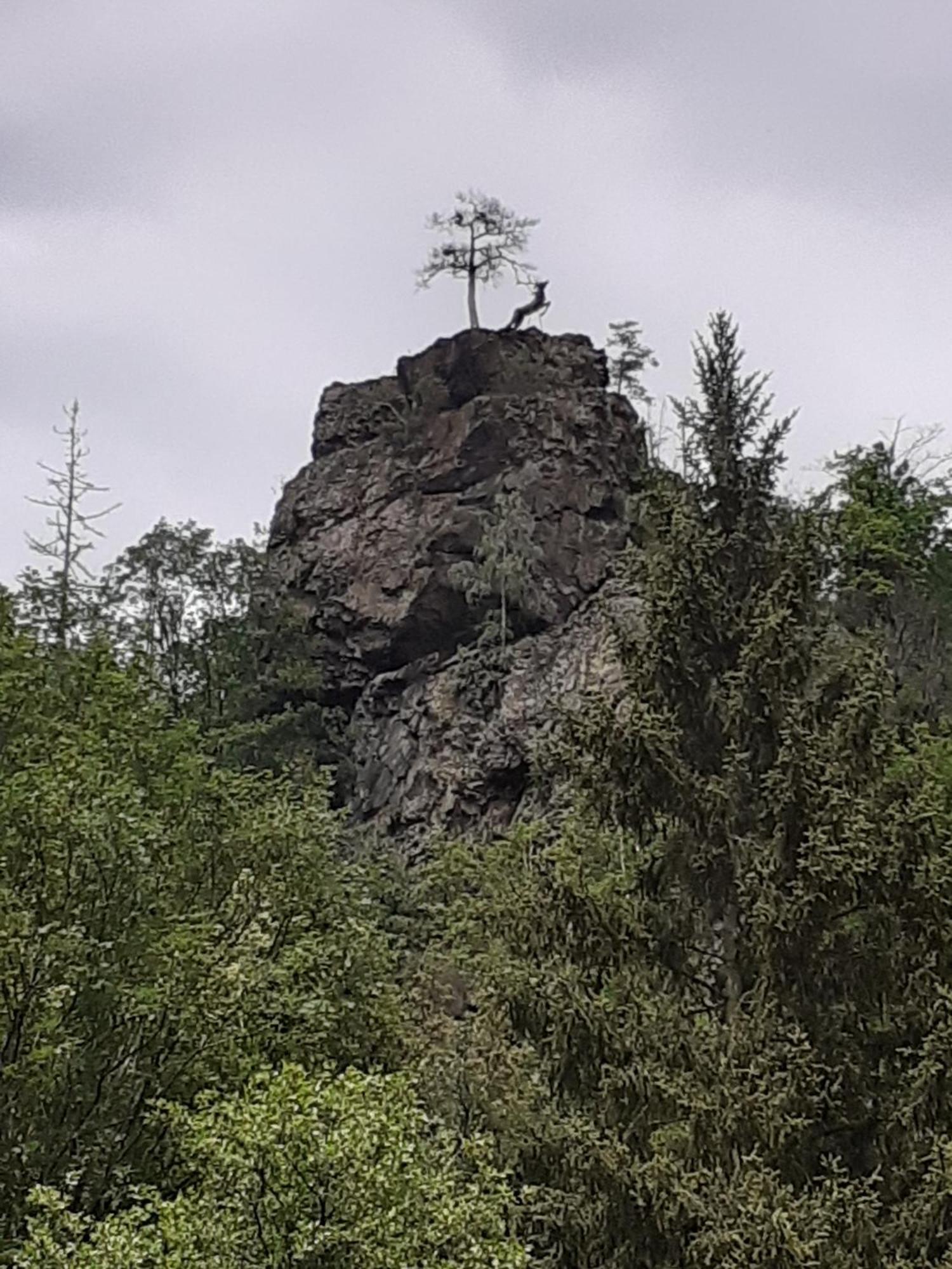 Ferienhaus Am See Lichtenberg Bayern Frankenwaldsee Dış mekan fotoğraf
